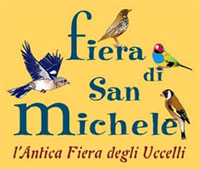 Sant'Arcangelo di Romagna: arriva la Fiera di San Michele